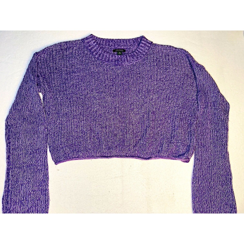 Wild Fable Women Purple Solid Knit Long Sleeve Crew Neck Pullover Sweater XS